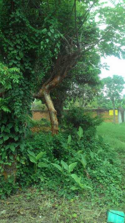 Other Commercial For Sale in 