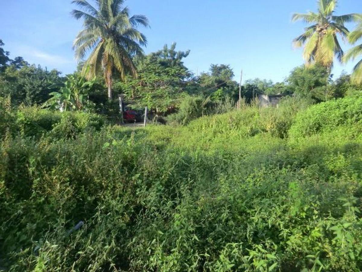 Picture of Residential Land For Sale in Villa De Tututepec De Melchor Ocampo, Oaxaca, Mexico