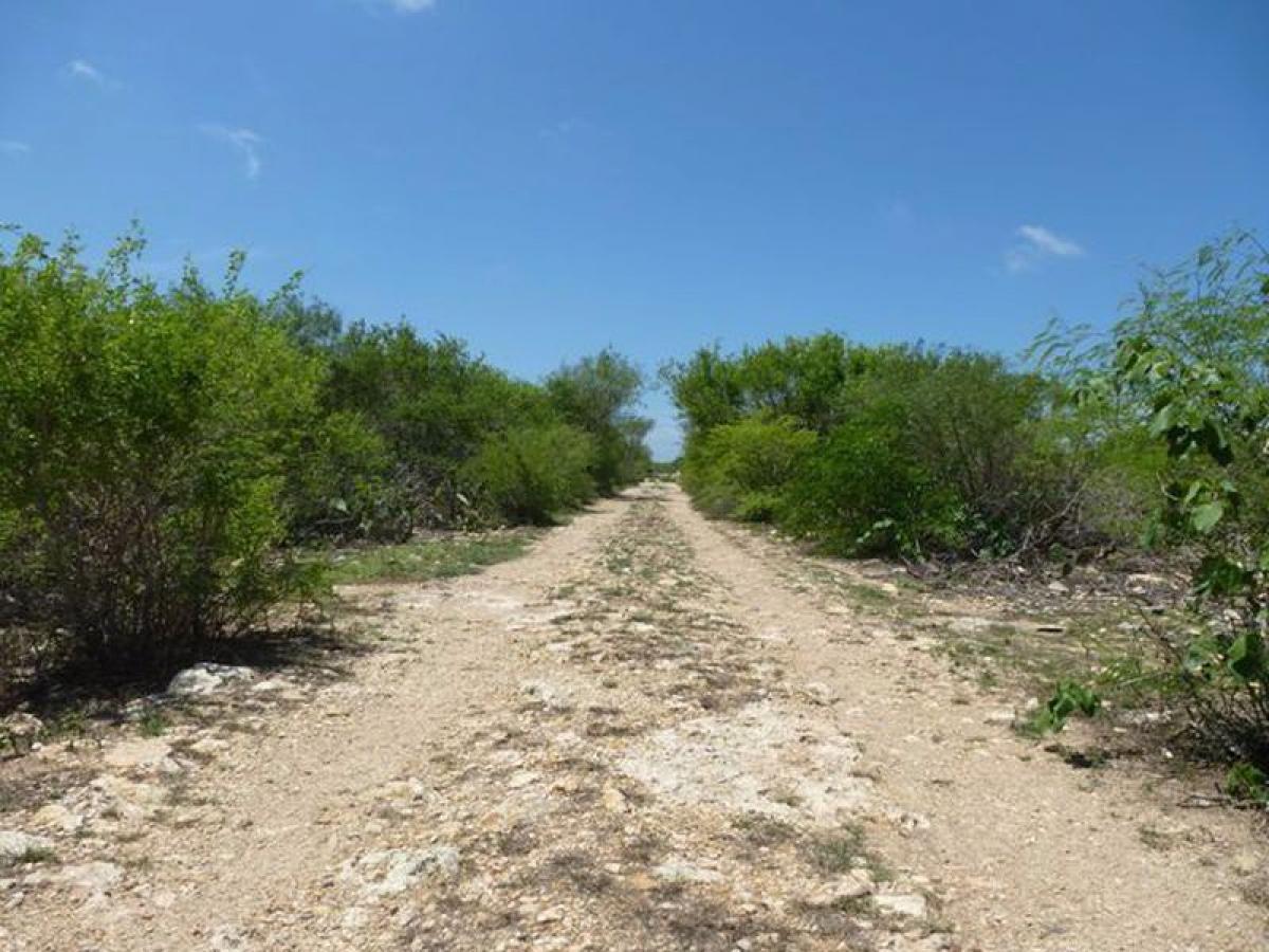 Picture of Residential Land For Sale in Telchac Puerto, Yucatan, Mexico