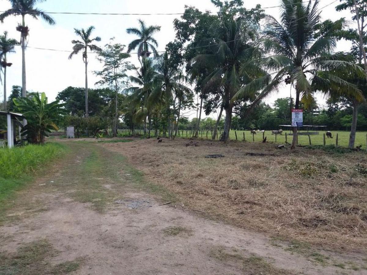 Picture of Residential Land For Sale in Comalcalco, Tabasco, Mexico