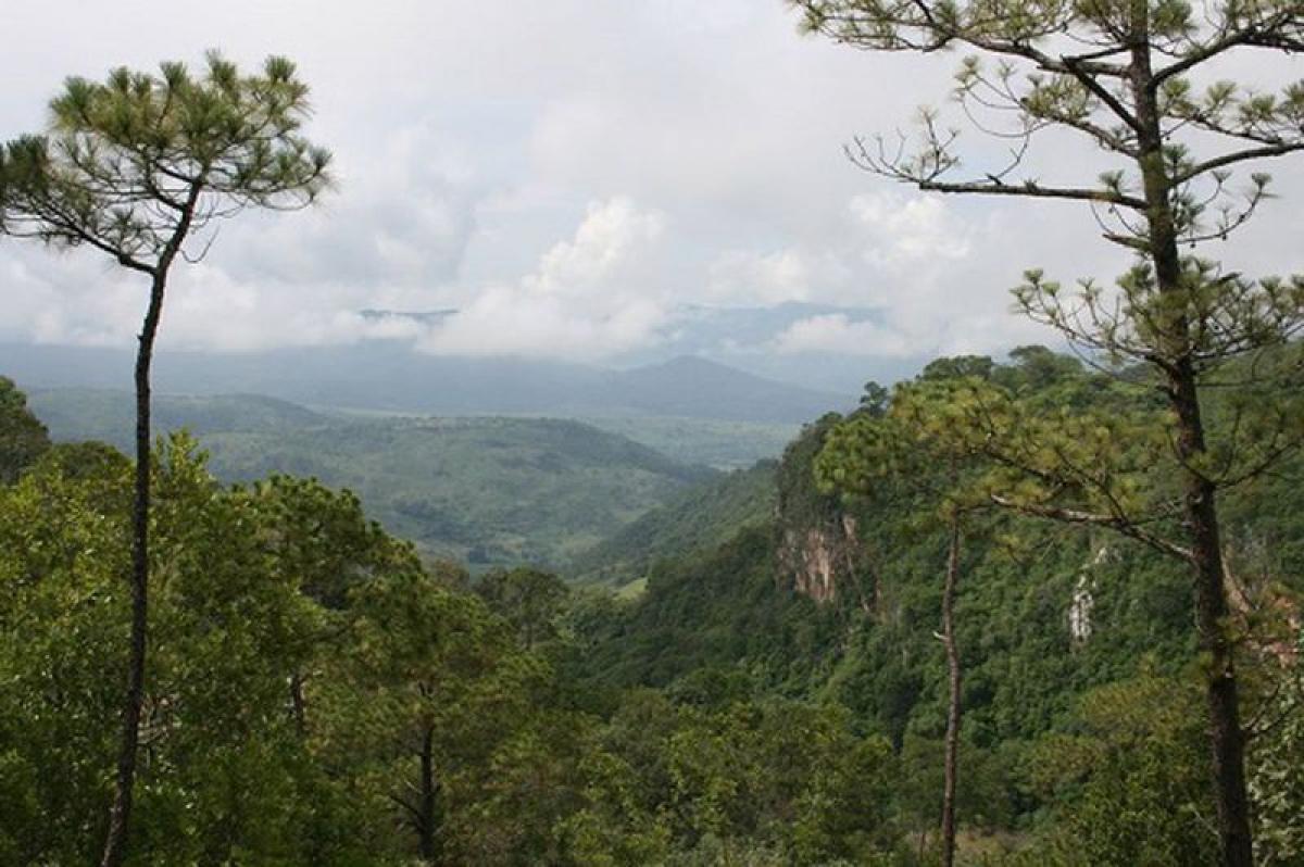 Picture of Other Commercial For Sale in Tapalpa, Jalisco, Mexico