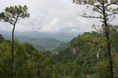 Other Commercial For Sale in Tapalpa, Mexico
