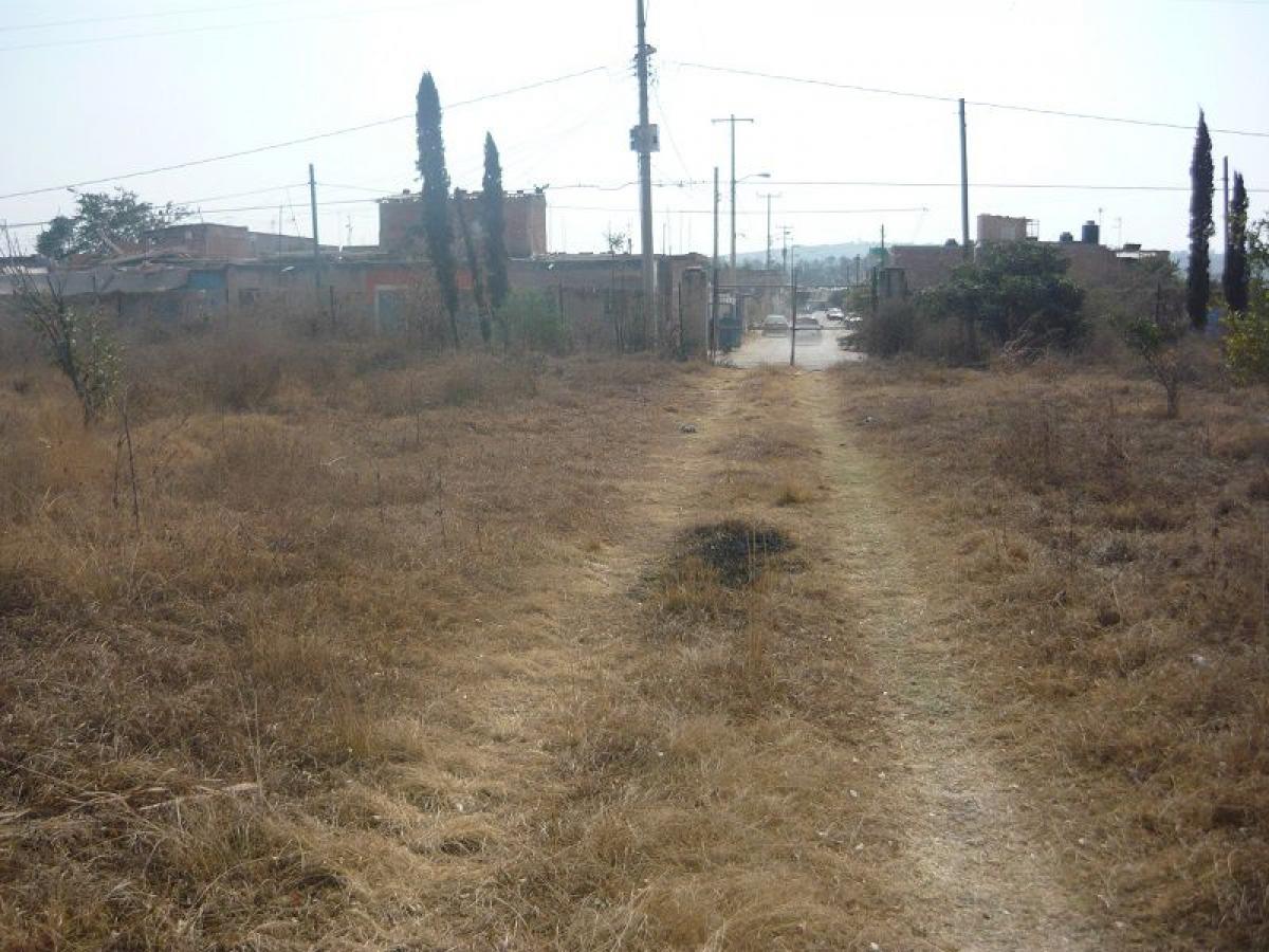 Picture of Other Commercial For Sale in San Pedro Tlaquepaque, Jalisco, Mexico