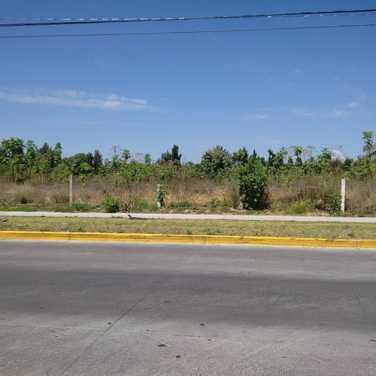 Picture of Other Commercial For Sale in Jalisco, Jalisco, Mexico
