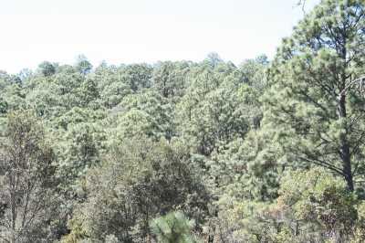 Other Commercial For Sale in Tapalpa, Mexico