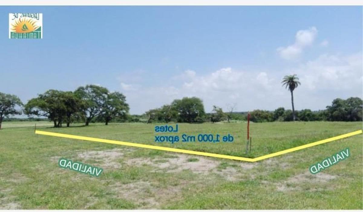 Picture of Residential Land For Sale in Tijuana, Baja California, Mexico