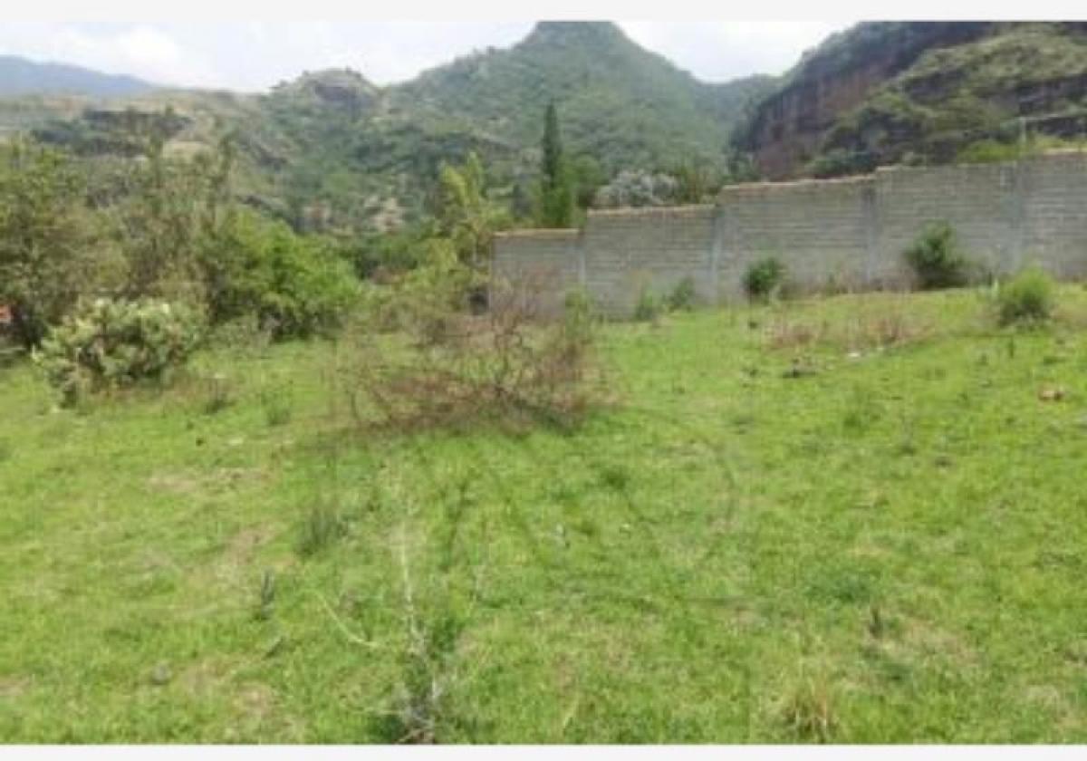 Picture of Residential Land For Sale in Malinalco, Mexico, Mexico
