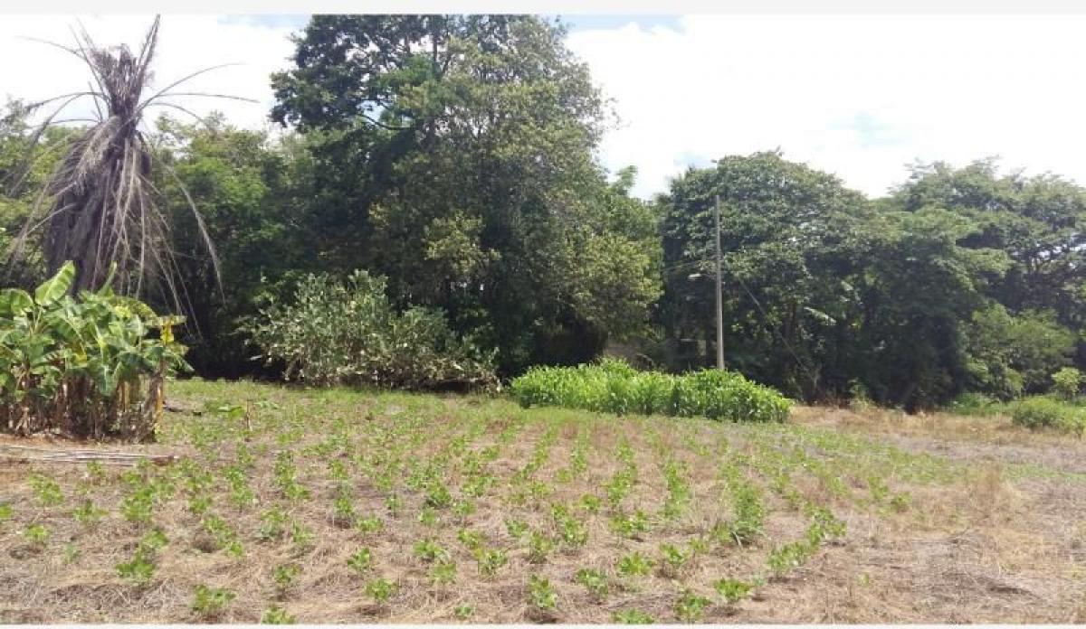 Picture of Residential Land For Sale in Tuxtla Gutierrez, Chiapas, Mexico