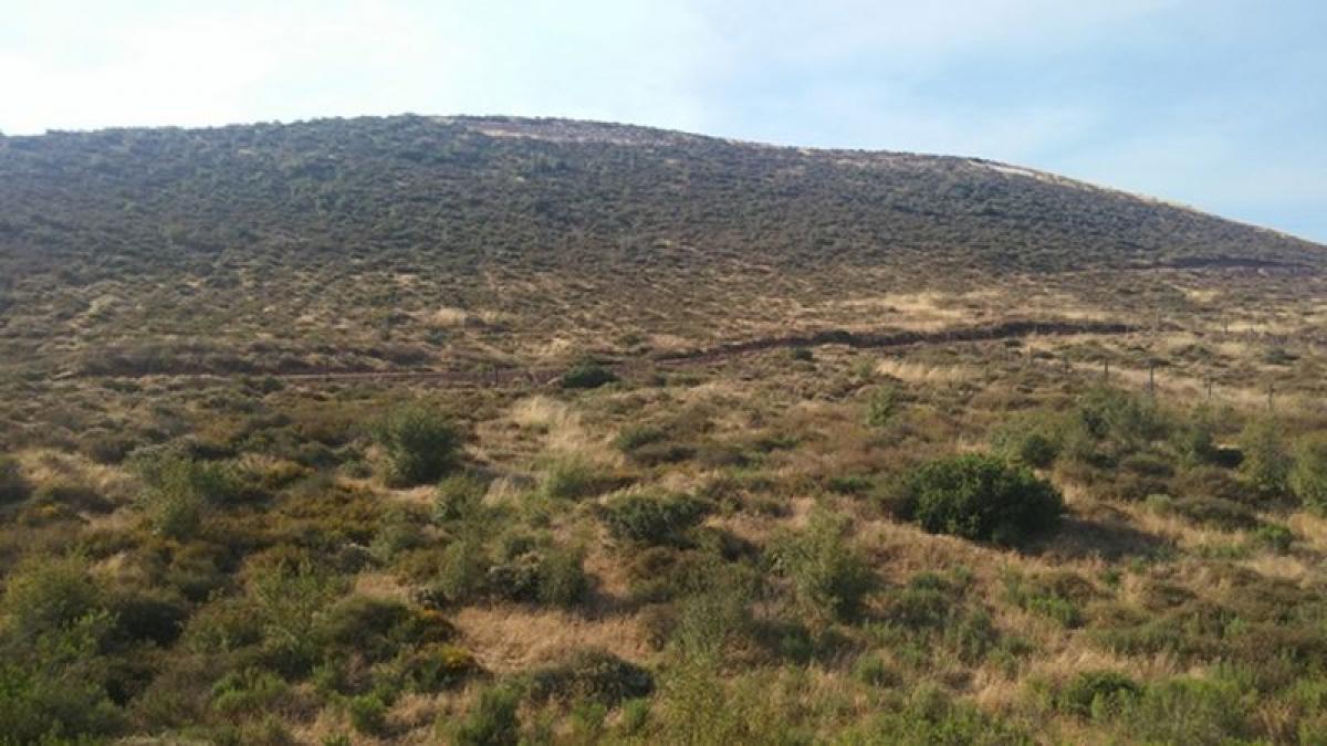 Picture of Other Commercial For Sale in Ensenada, Baja California, Mexico