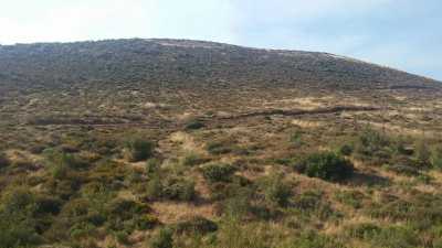 Other Commercial For Sale in Ensenada, Mexico