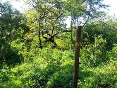 Residential Land For Sale in Nayarit, Mexico