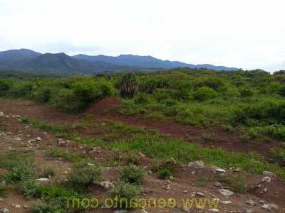 Residential Land For Sale in Nayarit, Mexico