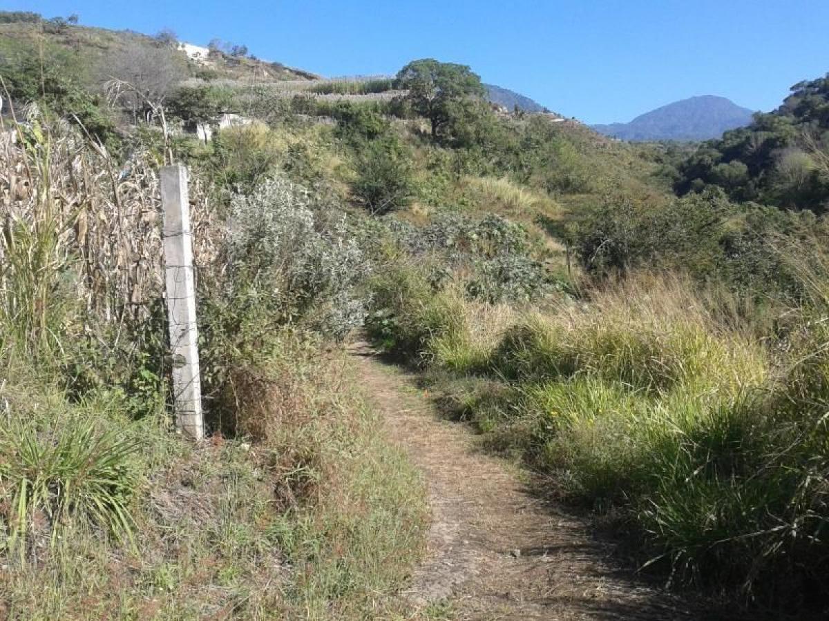 Picture of Residential Land For Sale in Nayarit, Nayarit, Mexico