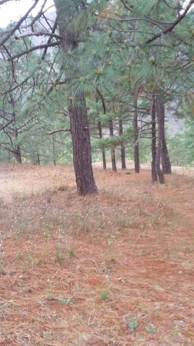 Development Site For Sale in Santiago, Mexico