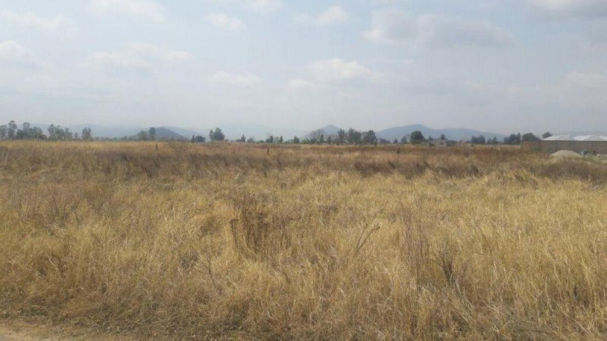 Picture of Residential Land For Sale in Pilcaya, Guerrero, Mexico