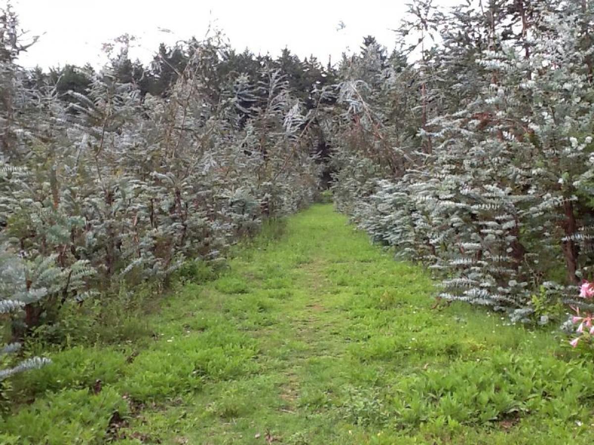 Picture of Other Commercial For Sale in Estado De Mexico, Mexico, Mexico