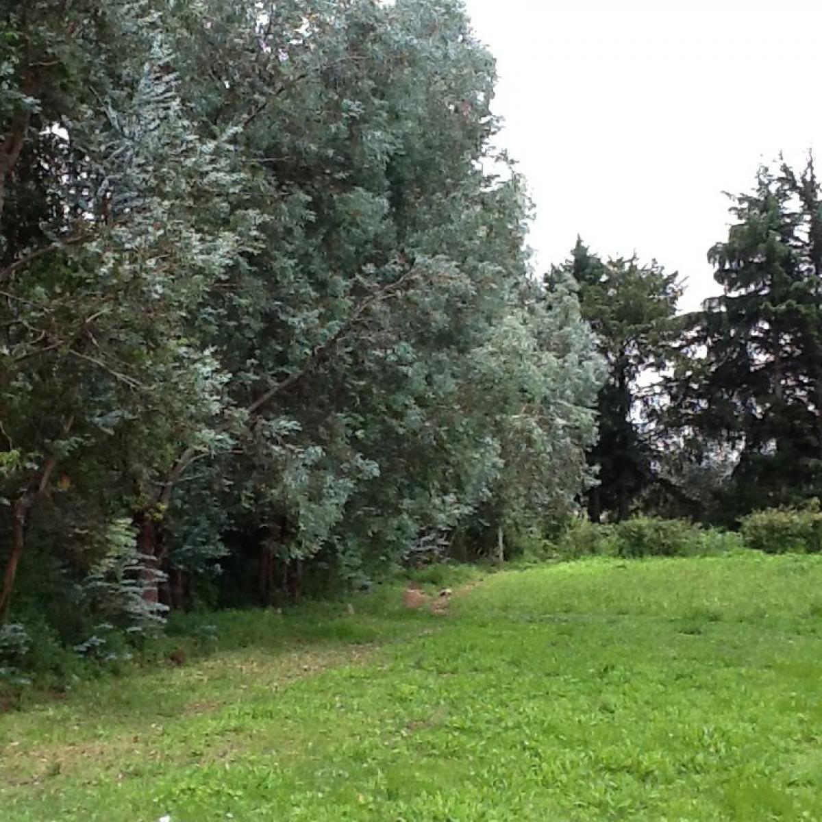 Picture of Other Commercial For Sale in Estado De Mexico, Mexico, Mexico