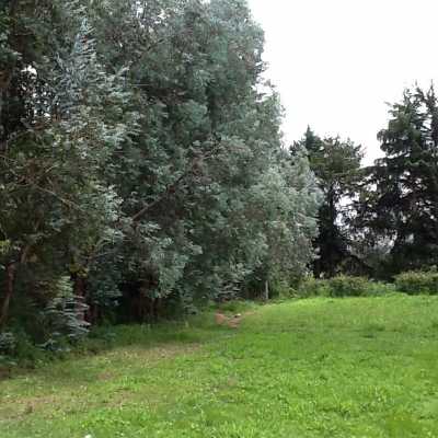 Other Commercial For Sale in Estado De Mexico, Mexico