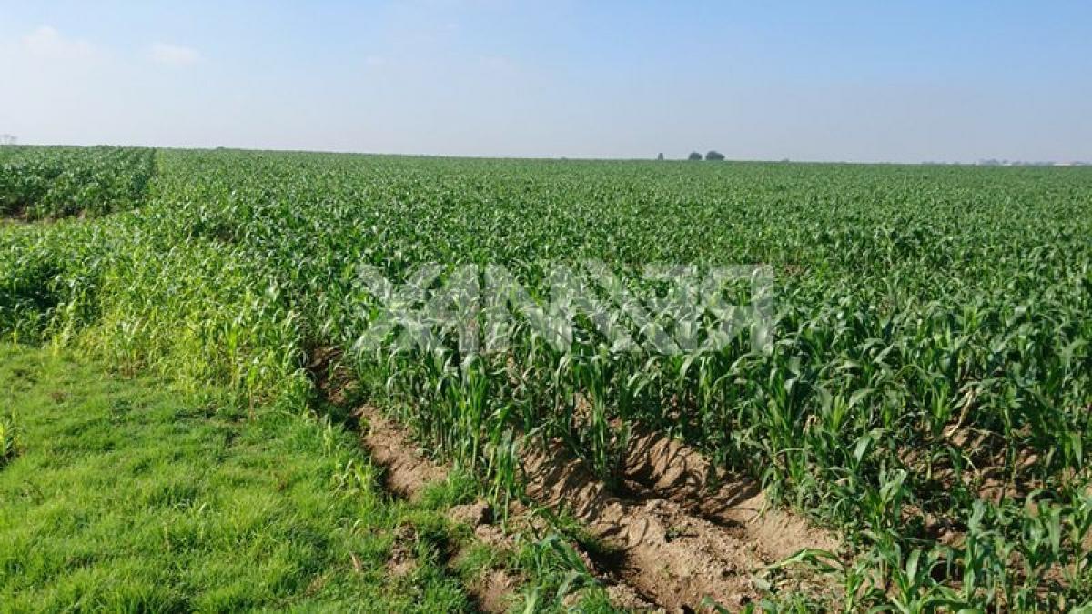 Picture of Other Commercial For Sale in Calimaya, Mexico, Mexico