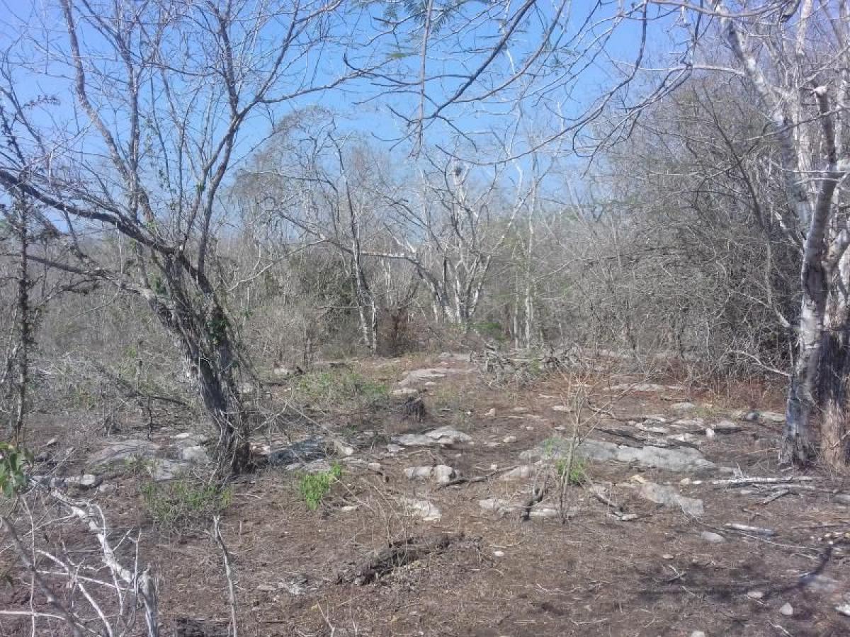 Picture of Residential Land For Sale in Berriozabal, Chiapas, Mexico