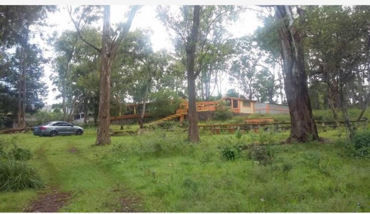 Picture of Home For Sale in Hidalgo, Hidalgo, Mexico