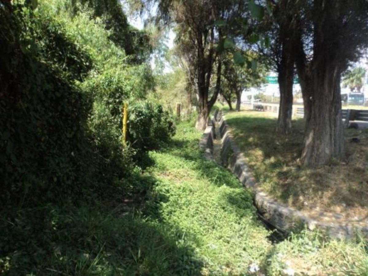 Picture of Residential Land For Sale in Temixco, Morelos, Mexico