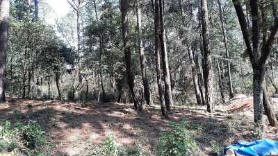 Residential Land For Sale in Valle De Bravo, Mexico