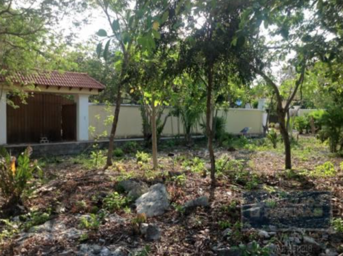 Picture of Development Site For Sale in Solidaridad, Quintana Roo, Mexico