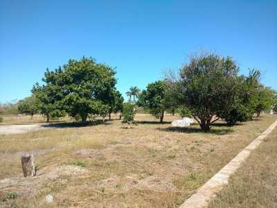 Development Site For Sale in Yucatan, Mexico