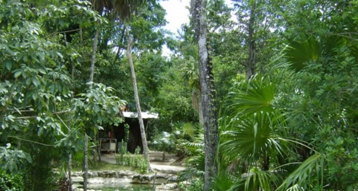 Picture of Residential Land For Sale in Othon P. Blanco, Quintana Roo, Mexico