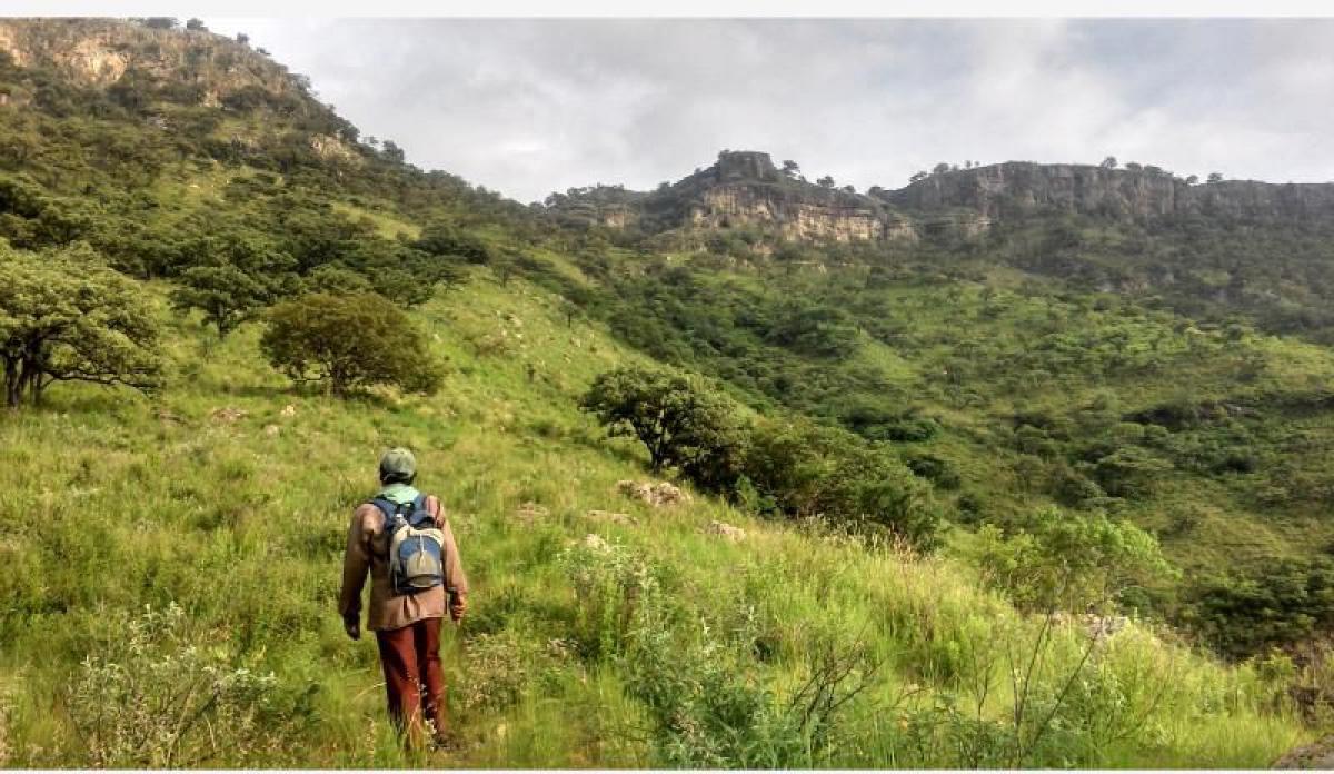 Picture of Residential Land For Sale in Amatitan, Jalisco, Mexico