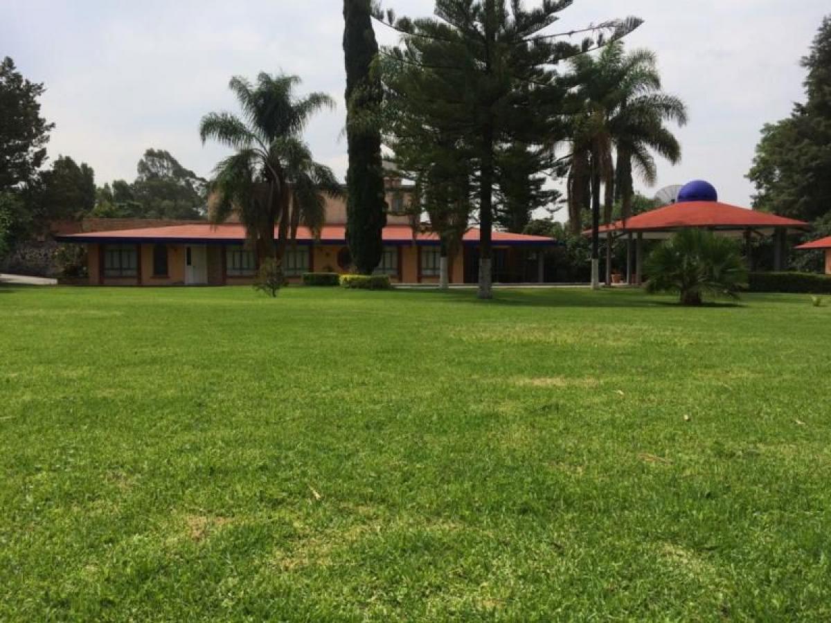 Atlixco, Atlixco, Puebla, Mexico Homes For Sale at GLOBAL LISTINGS