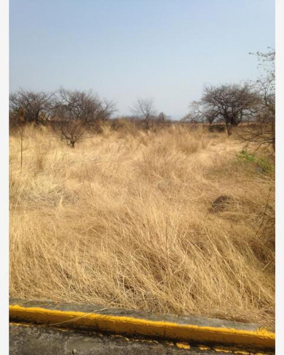 Picture of Residential Land For Sale in Izucar De Matamoros, Puebla, Mexico