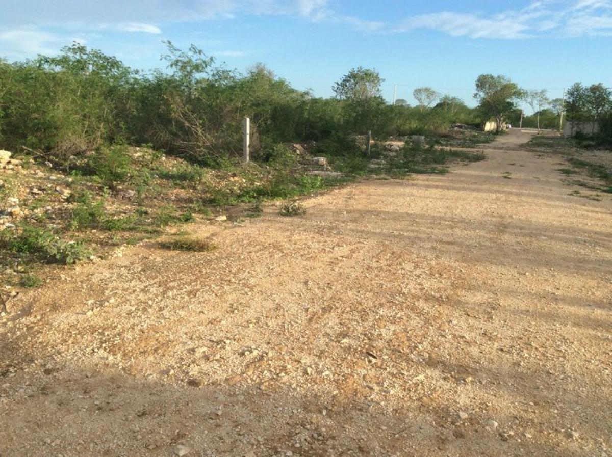 Picture of Other Commercial For Sale in Merida, Yucatan, Mexico