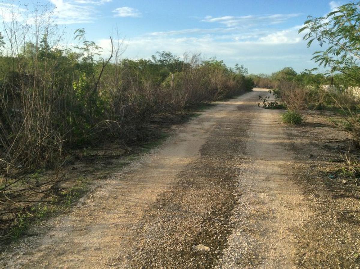 Picture of Other Commercial For Sale in Merida, Yucatan, Mexico