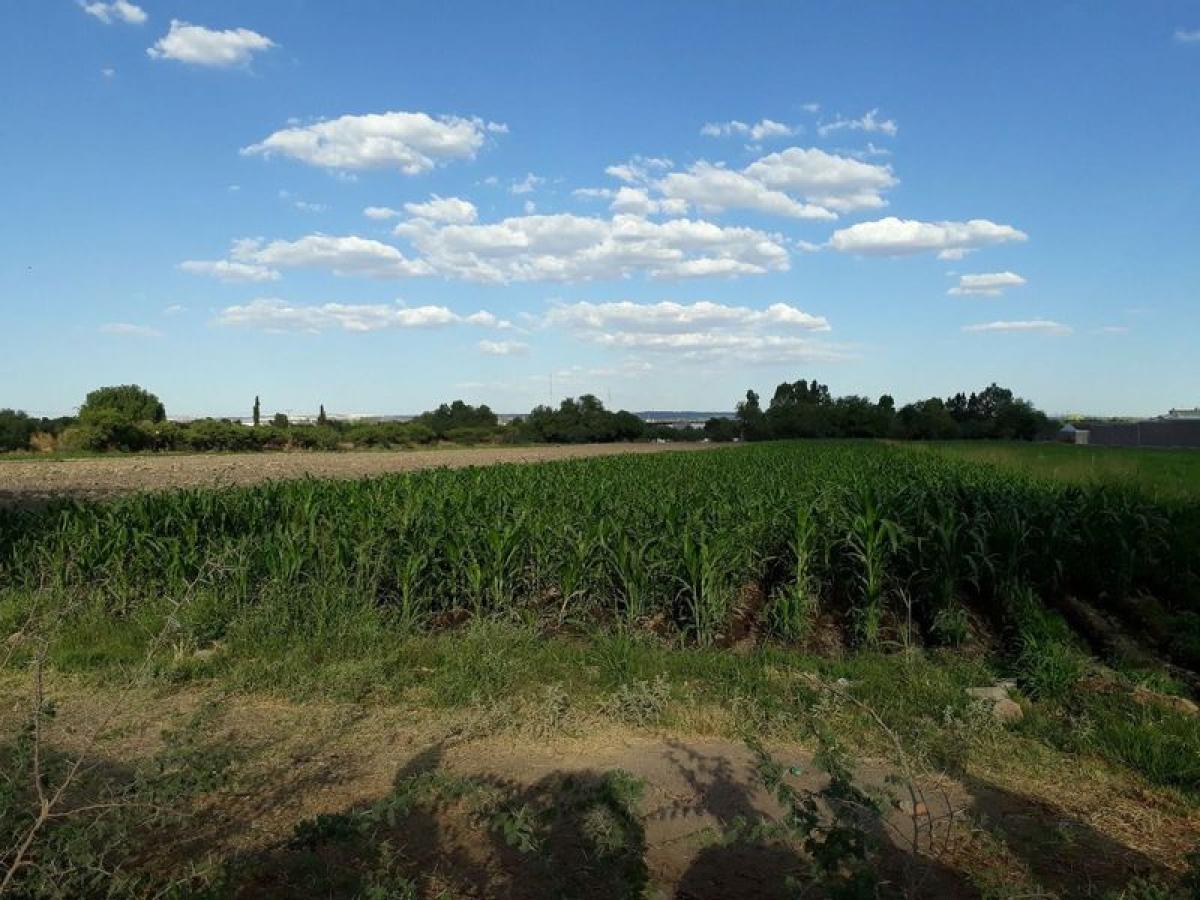 Picture of Residential Land For Sale in Aguascalientes, Aguascalientes, Mexico