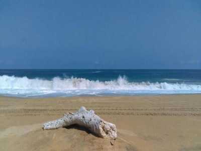 Residential Land For Sale in Tomatlan, Mexico