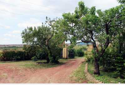 Residential Land For Sale in