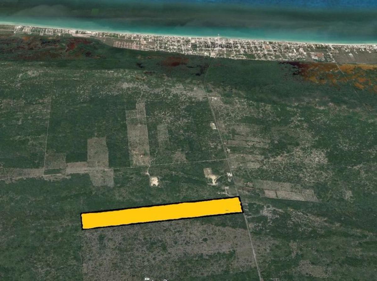 Picture of Home For Sale in Telchac Puerto, Yucatan, Mexico