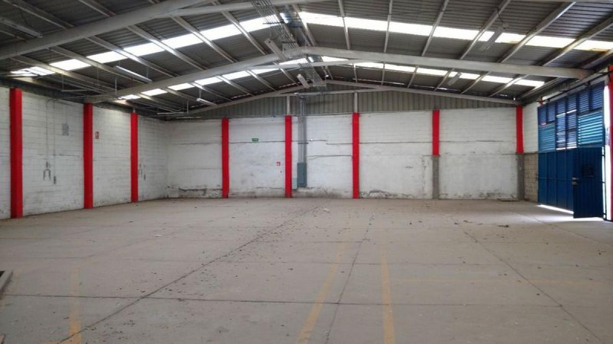 Picture of Penthouse For Sale in Morelos, Morelos, Mexico