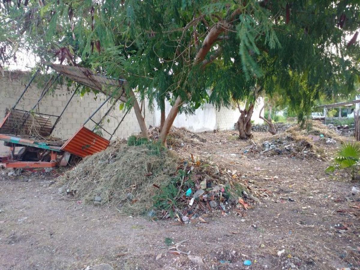 Picture of Residential Land For Sale in Othon P. Blanco, Quintana Roo, Mexico