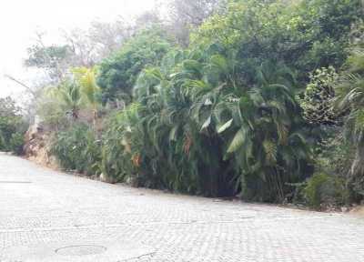 Residential Land For Sale in Acapulco De Juarez, Mexico