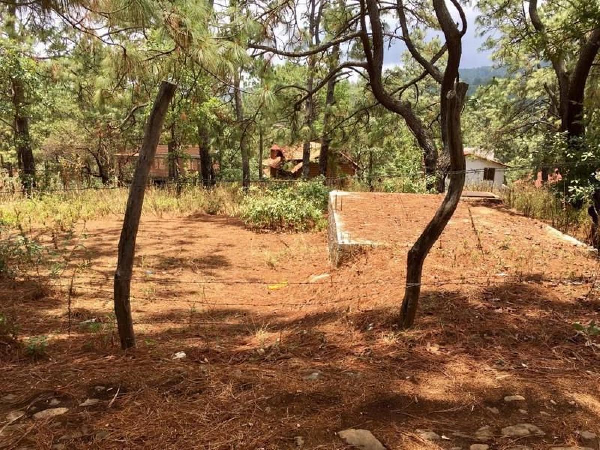 Mazamitla, Mazamitla, Jalisco, Mexico Residential Land For Sale at