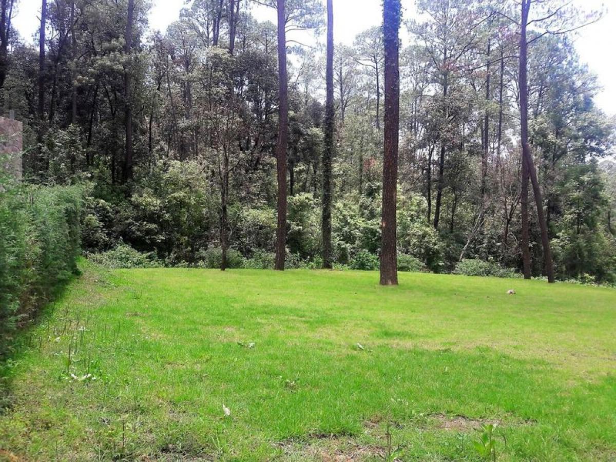 Picture of Residential Land For Sale in Valle De Bravo, Mexico, Mexico