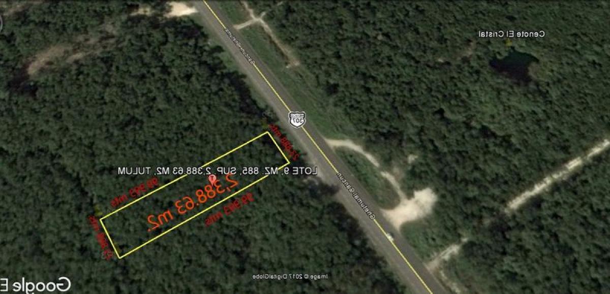 Picture of Residential Land For Sale in Tulum, Quintana Roo, Mexico