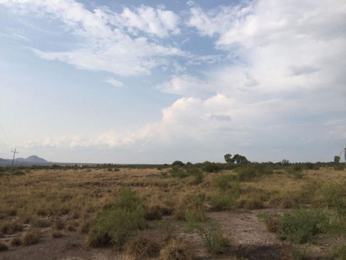 Picture of Residential Land For Sale in Meoqui, Chihuahua, Mexico
