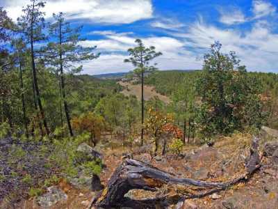 Residential Land For Sale in Durango, Mexico