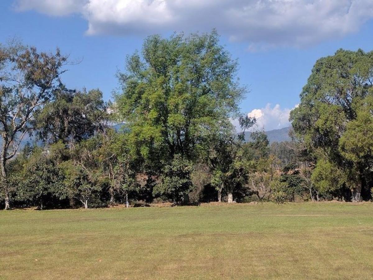 Picture of Residential Land For Sale in Ixtapan De La Sal, Mexico, Mexico