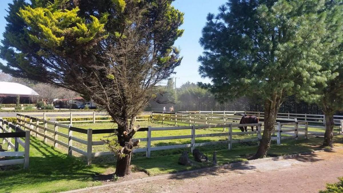 Picture of Development Site For Sale in Estado De Mexico, Mexico, Mexico