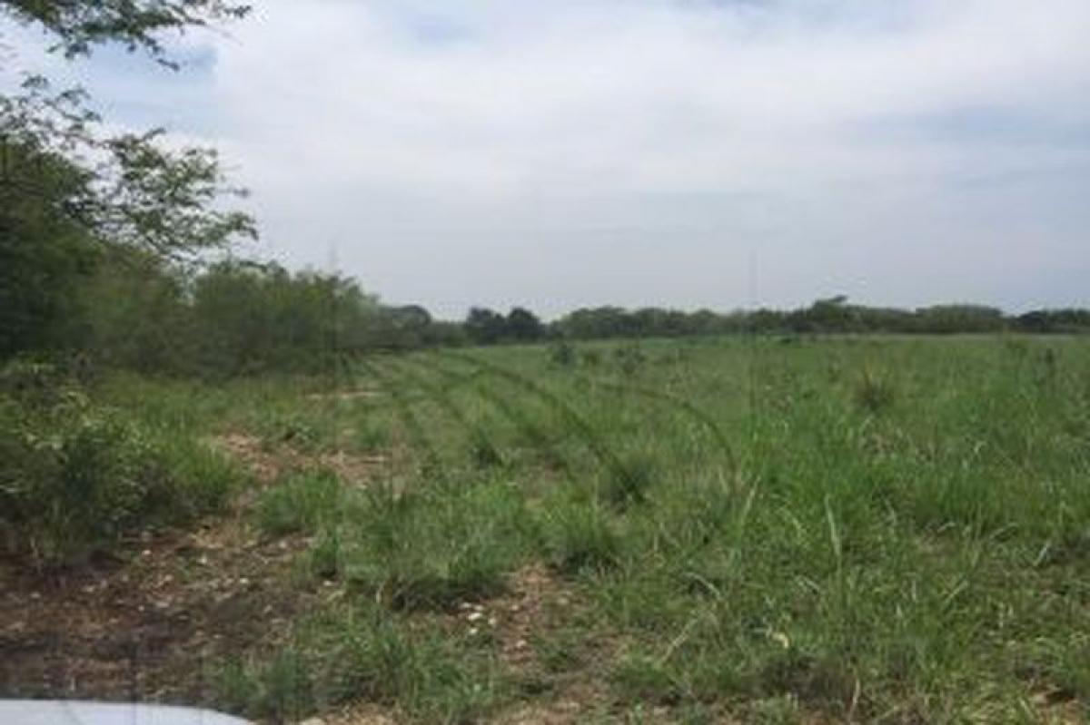 Picture of Residential Land For Sale in Montemorelos, Nuevo Leon, Mexico